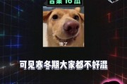 娱乐吃瓜酱网暴,揭秘网络暴力的残酷真相