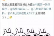 吃瓜娱乐百科大全,揭秘娱乐圈背后的秘密与趣闻