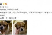 娱乐圈吃瓜小狗小说免费阅读,吃瓜小狗的甜蜜复仇之旅
